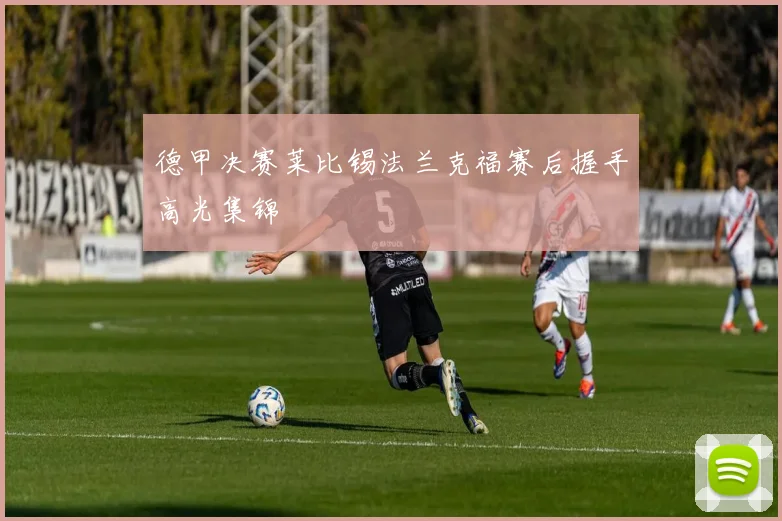 德甲决赛莱比锡法兰克福赛后握手高光集锦