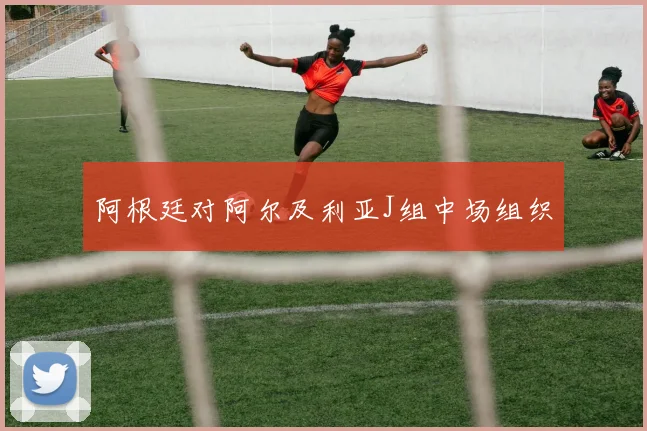 阿根廷对阿尔及利亚J组中场组织